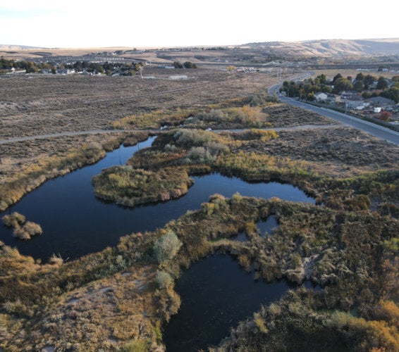 Richland Washington Homes For Sale And Real Estate In 99352 - 99353 - 99354