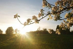 Burbank WA Real Estate & Homes for Sale