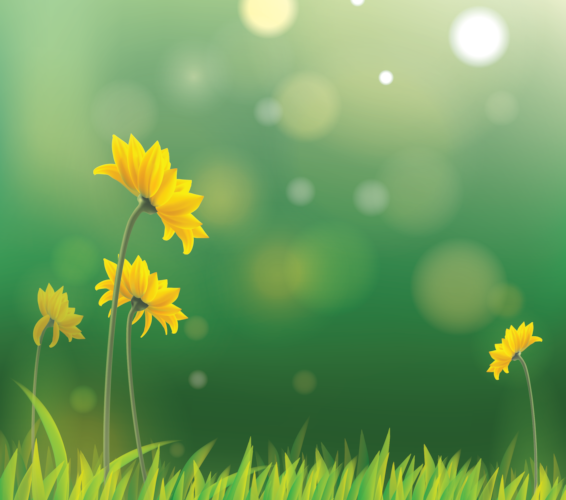 Badger Mountain Homes for Sale and Real Estate in South Richland Washington