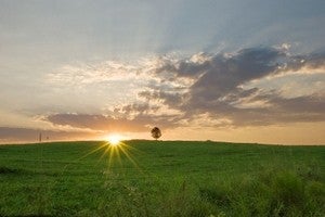 Burbank WA Real Estate & Homes for Sale