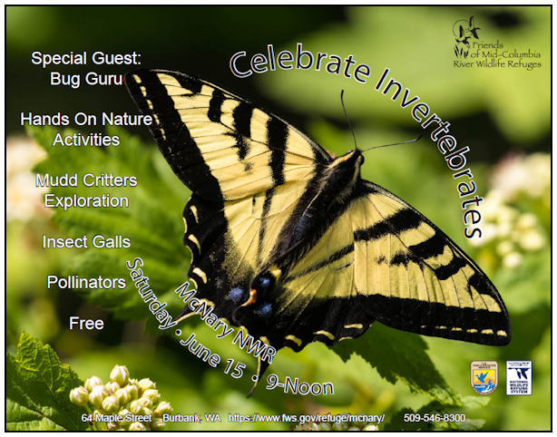 Celebrate Invertebrates! June 15, Saturday, 9am - noon at McNary NWR