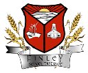 Finley school district