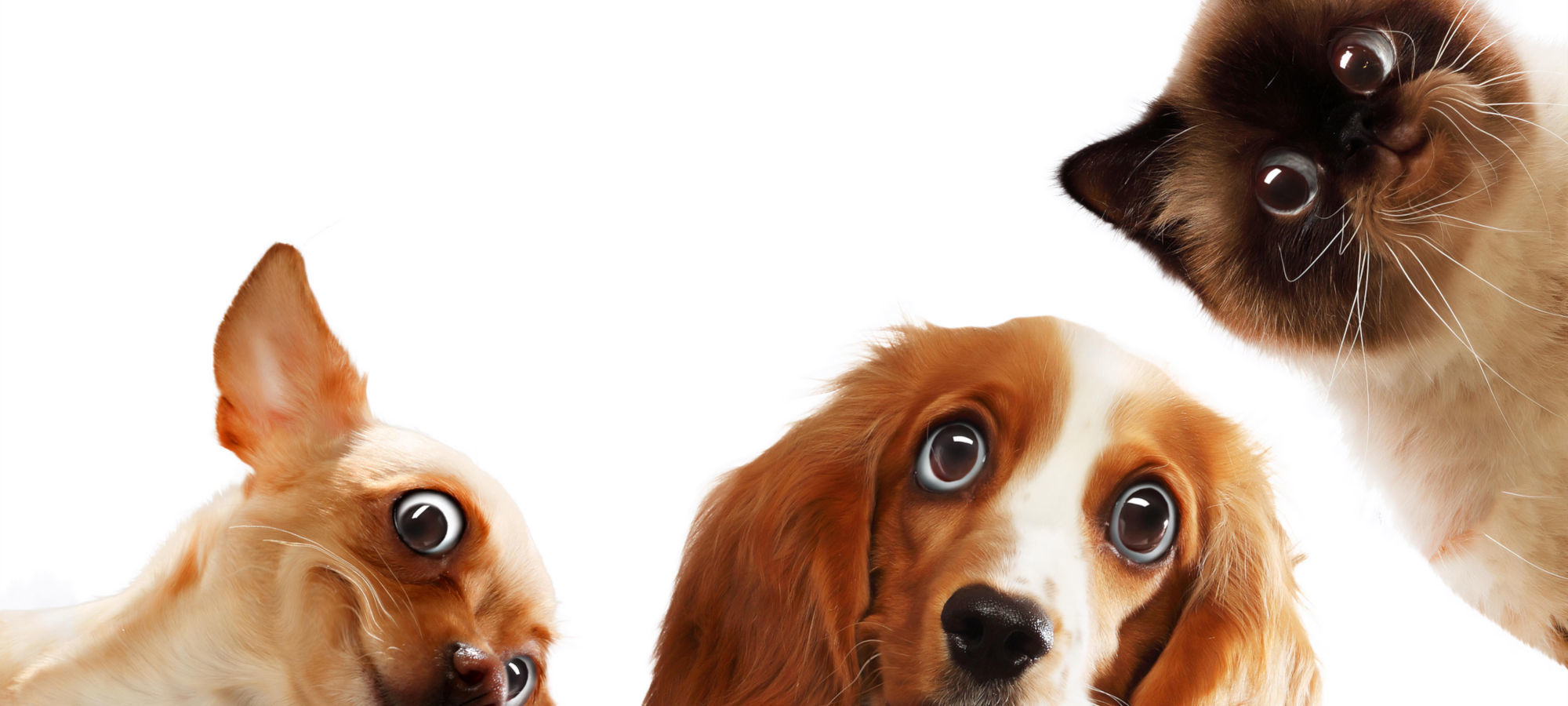 Apartment Buildings For Sale in TriCities WA, 5Plex, Real Estate, MLS